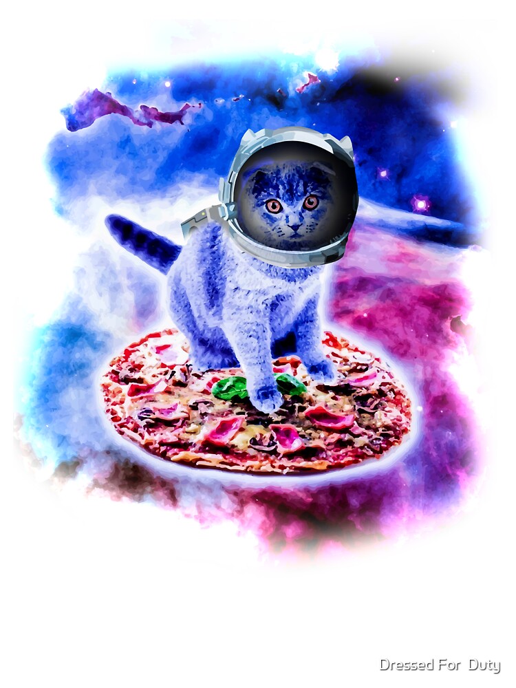 Galaxy Space Pizza Cat DJ Decks Pussy Cat Kitten Cute Funny 