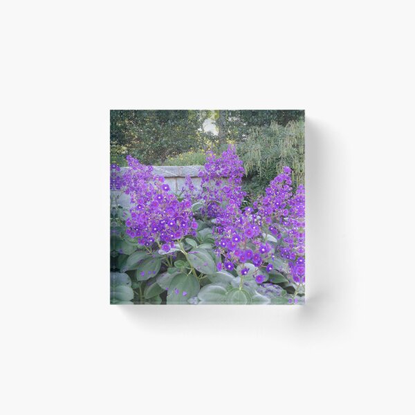 Item preview, Princess Flowers designed and sold by GardenArtworks.