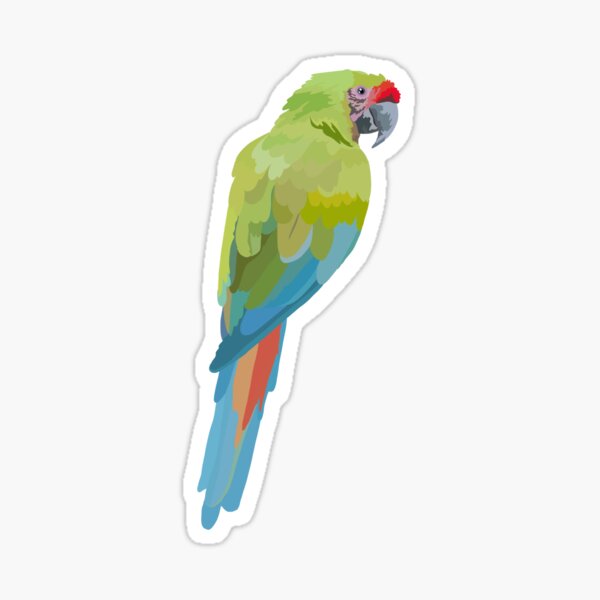 Item preview, M is for Military Macaw.Military Macaw Illustration – Vibrant Green Tropical Parrot Artwork designed and sold by PrettylittlepastelUk.