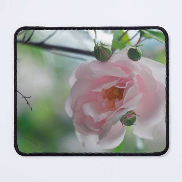 Item preview, Pink roses on nature background designed and sold by olena2552.