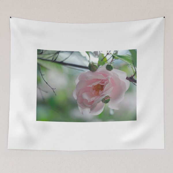 Item preview, Pink roses on nature background designed and sold by olena2552.
