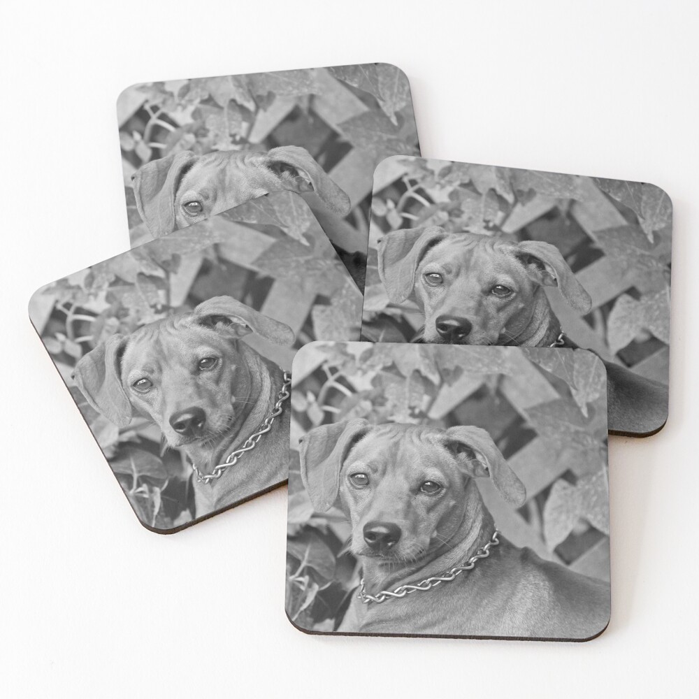 Item preview, Coasters (Set of 4) designed and sold by Ruthie33.