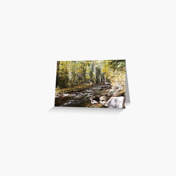 Fall JZ7A7398 V2 Greeting Card