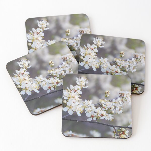 Item preview, Cherry blossoms designed and sold by BugNews.