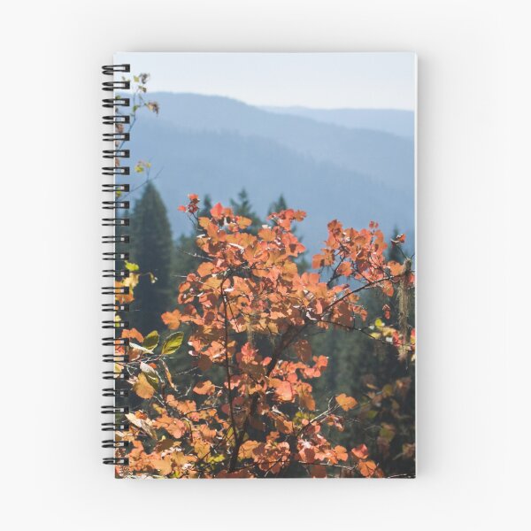 Item preview, Colorful Fall Leaves Photography Print designed and sold by griffingphoto.