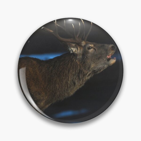 Item preview, Royal Stag designed and sold by Macrae images.