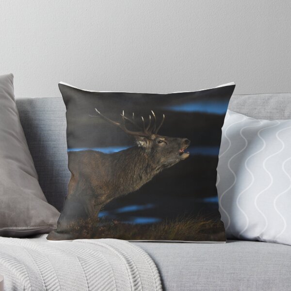 Item preview, Royal Stag designed and sold by Macrae images.