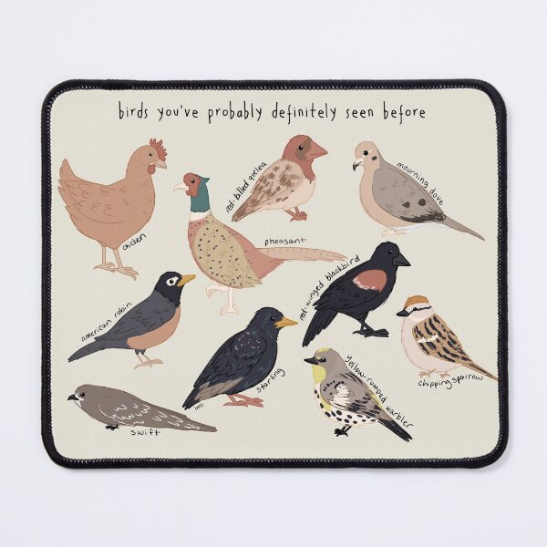 Item preview, birds you've probably definitely seen before designed and sold by karmadogg.