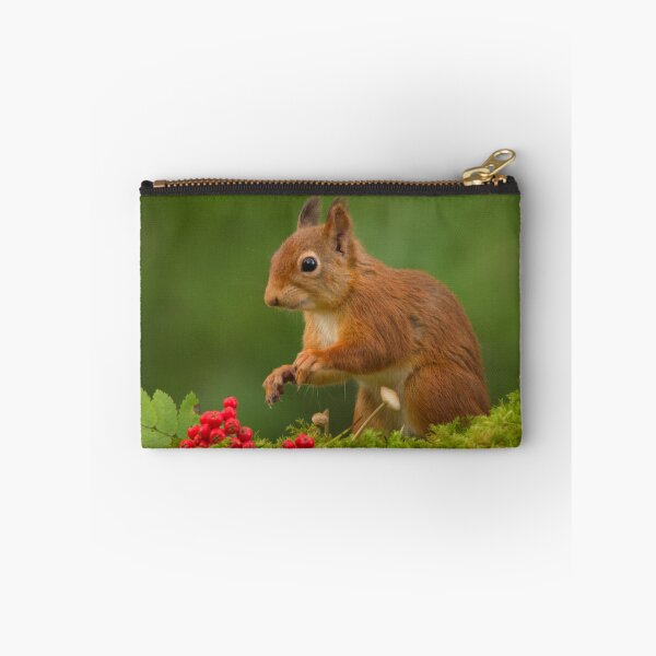Item preview, Red Squirrel designed and sold by Macrae images.