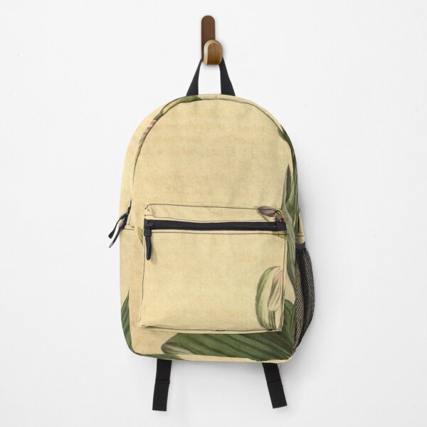 Item preview, Ophrys tenthredinifera Curtis' 44 pl. 1930 (1817) designed and sold by EsotericBotanic.