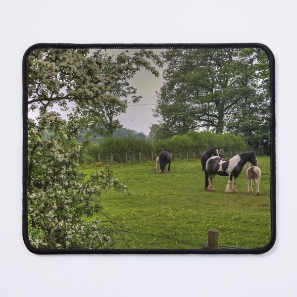 Item preview, Romany Horses designed and sold by tomg.