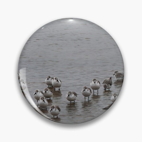 Item preview, 35 Sanderlings designed and sold by Violaman.