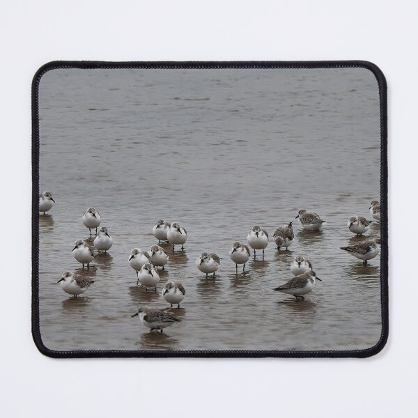 Item preview, 35 Sanderlings designed and sold by Violaman.