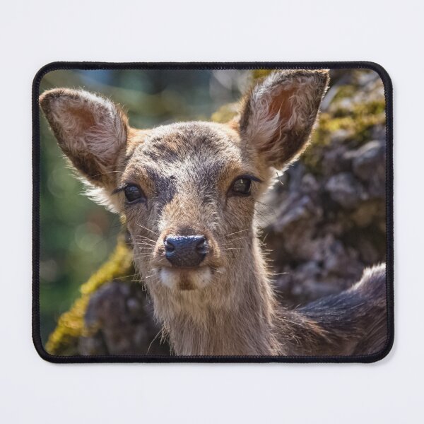 Item preview, Sika deer portrait designed and sold by Lyl Dil Creations.
