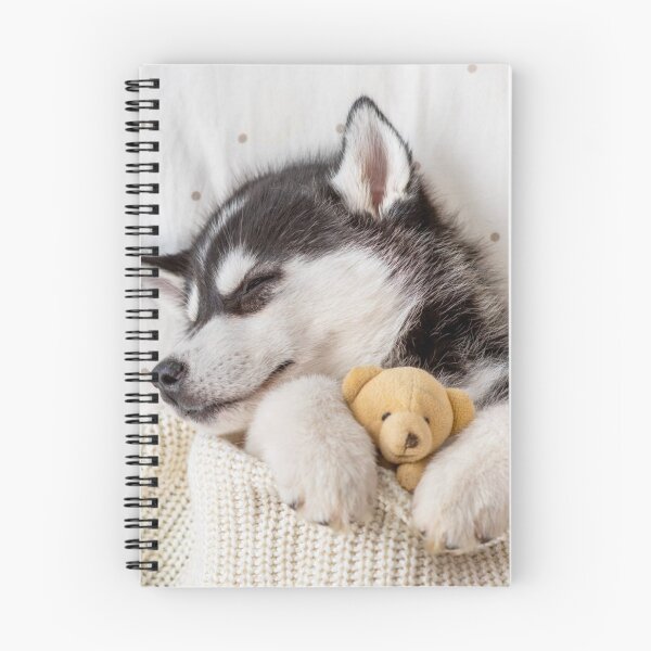 Aperçu de l'œuvre Câlins Husky créée et vendue par Liani DeGeeter.