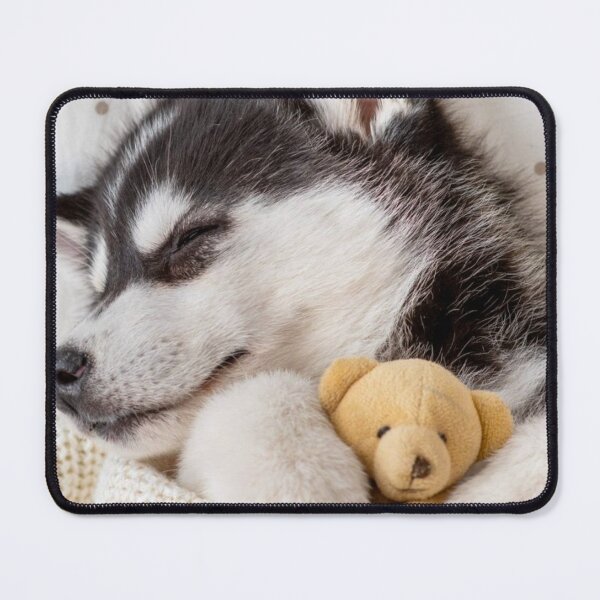 Item preview, Husky Snuggles designed and sold by Liani DeGeeter.