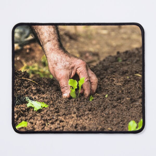 Item preview, planting vegetables. designed and sold by Nino rocha fotografia.