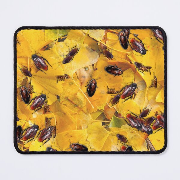 Item preview, Cockroaches designed and sold by Gaspar Avila.