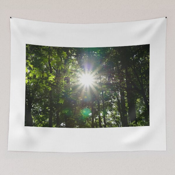 Item preview, Summer Forest Sunburst designed and sold by RCNaturephotos.