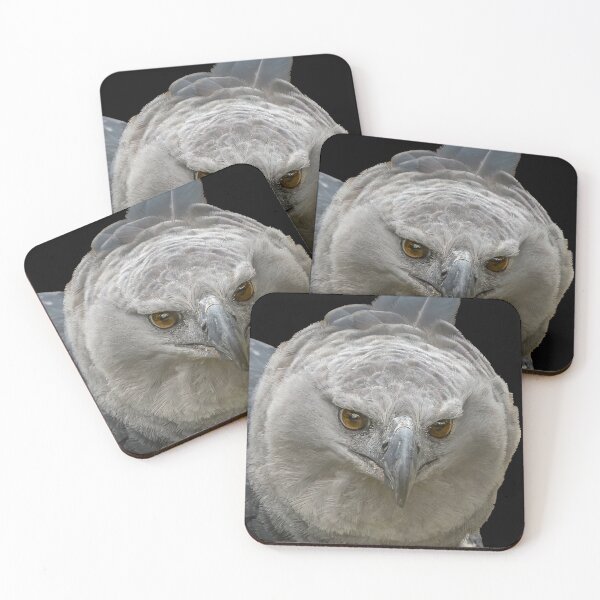 Item preview, Harpy Eagle designed and sold by JDPine.