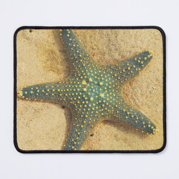 Item preview, Starfish designed and sold by Michael Brewer.