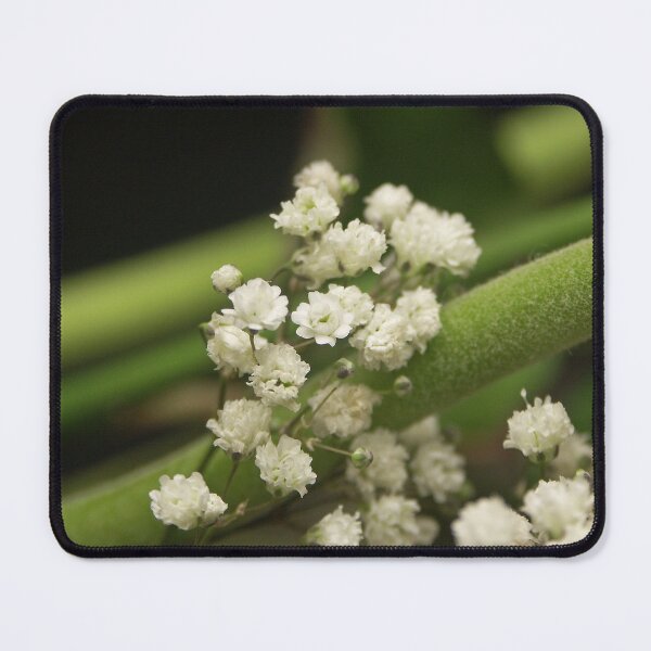 Item preview, Tiny white flowers. designed and sold by l2designs.