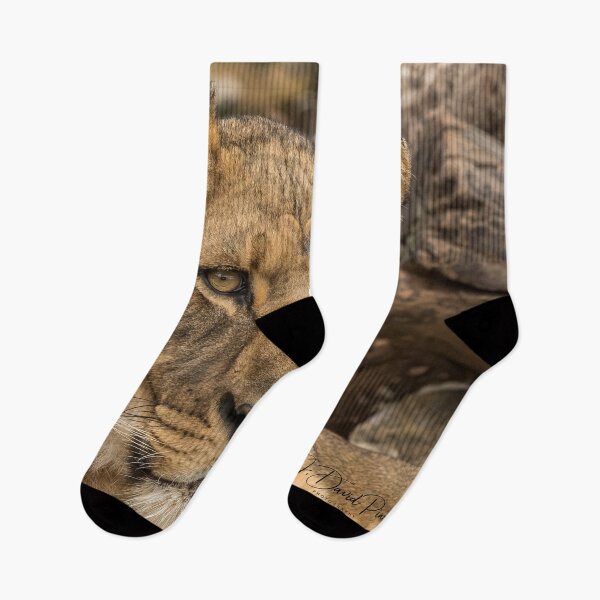 Item preview, Lioness designed and sold by JDPine.