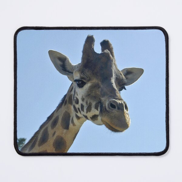 Item preview, Giraffe photo designed and sold by l2designs.