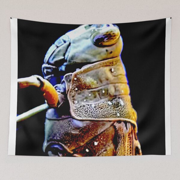 Item preview, Grasshopper, colour version designed and sold by Geoff Treagus.