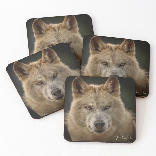 Artikelvorschau, Grauer Wolf entworfen und verkauft von JDPine.