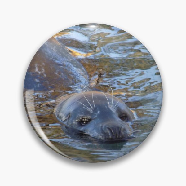 Item preview, Leopard Seal Waterview designed and sold by DragonCGallery.
