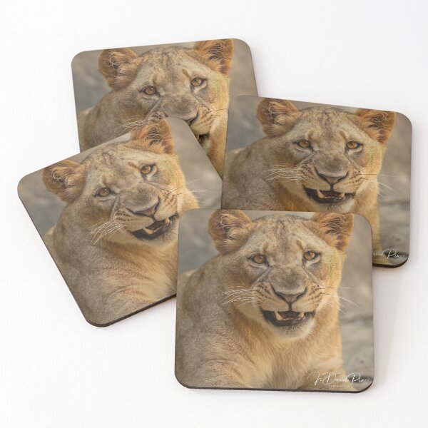 Item preview, Lioness designed and sold by JDPine.