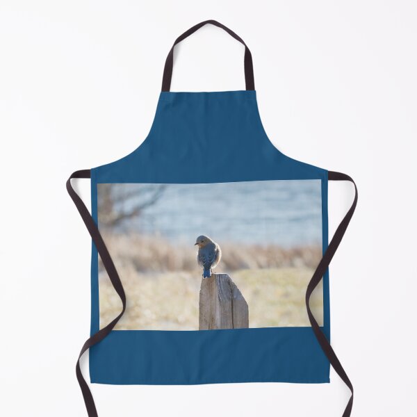 Item preview, Bluebird Reflecting designed and sold by Anita Oakley.