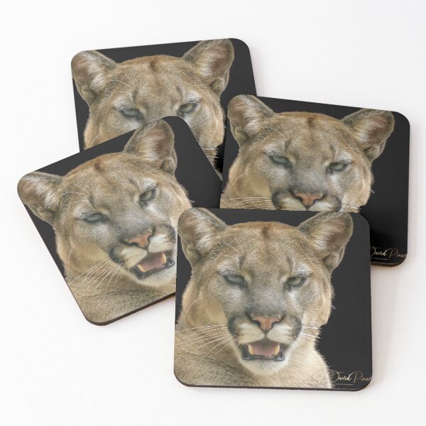 Item preview, Puma designed and sold by JDPine.