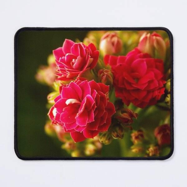 Item preview, Flowers photo 3 designed and sold by l2designs.
