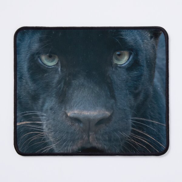 Item preview, Black Jaguar designed and sold by JDPine.
