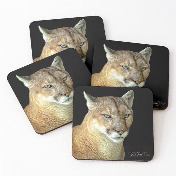 Item preview, Puma designed and sold by JDPine.