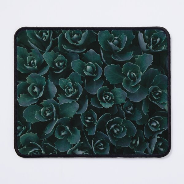 Item preview, Sedum designed and sold by Isch.