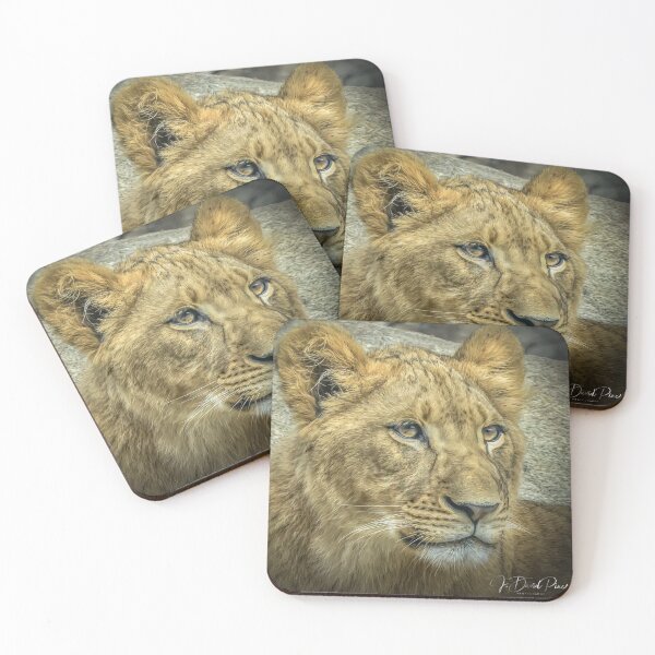 Item preview, Lion Cub designed and sold by JDPine.