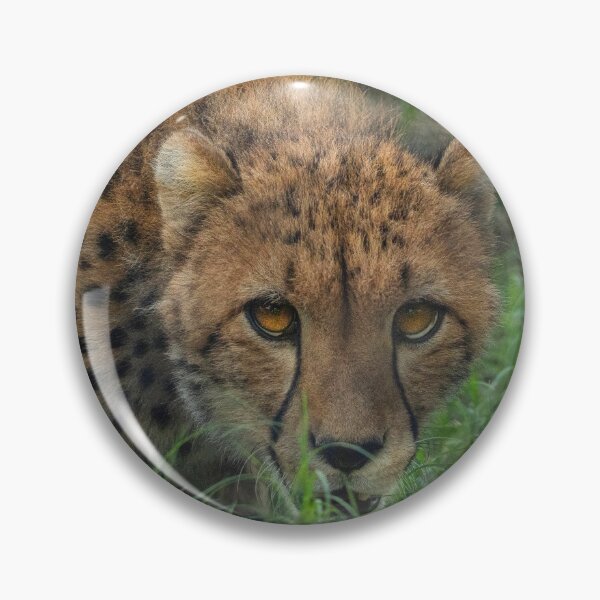 Item preview, Stalking Cheetah designed and sold by JDPine.