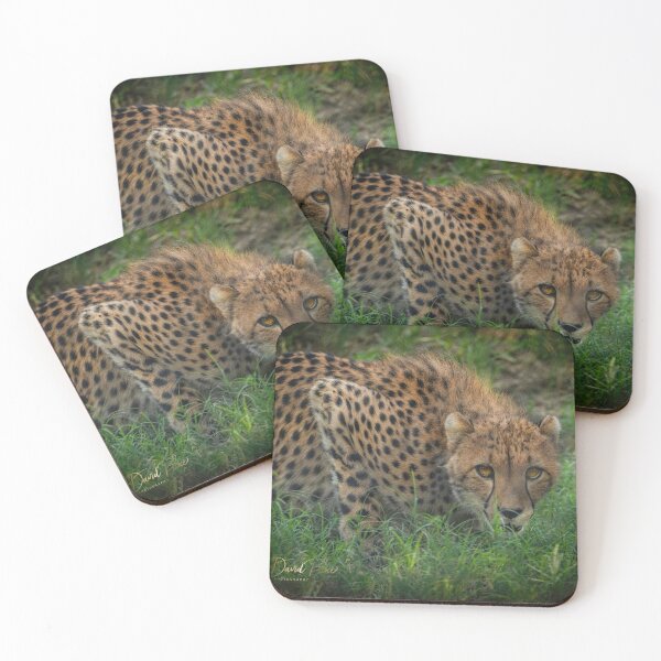 Item preview, Stalking Cheetah designed and sold by JDPine.