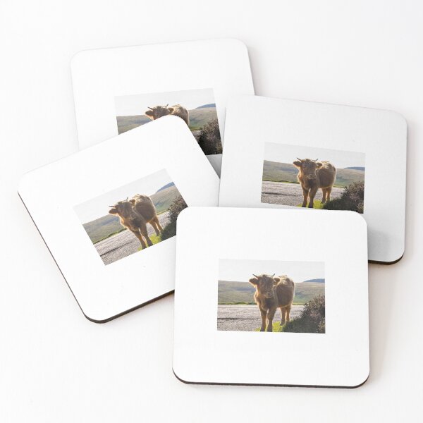 Item preview, Wild Cattle designed and sold by Beth Cookson.