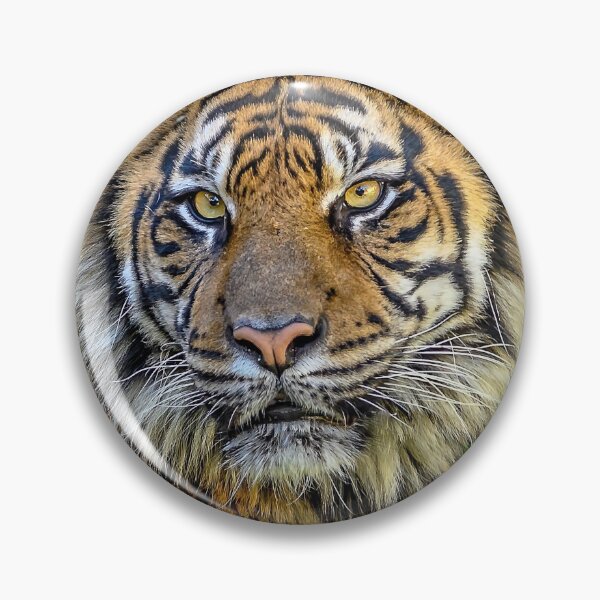 Item preview, Tiger Time designed and sold by JDPine.
