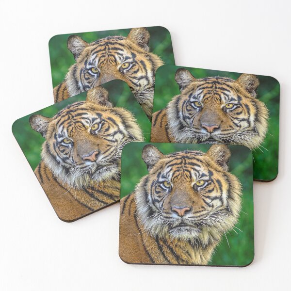 Item preview, Tiger Time designed and sold by JDPine.