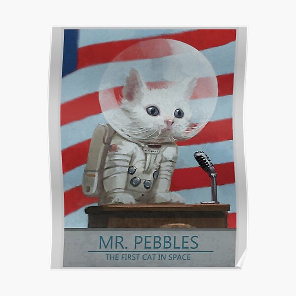 Mr Pebbles | Fallout Inspired | Wall Art Home Decor | HECKINFAROUT Poster