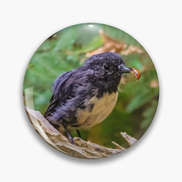 Item preview, Stewart Island robin having lunch designed and sold by Lyl Dil Creations.