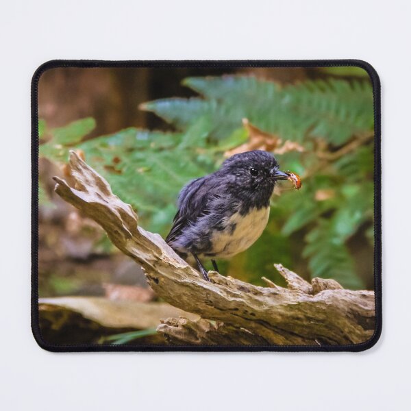 Item preview, Stewart Island robin having lunch designed and sold by Lyl Dil Creations.