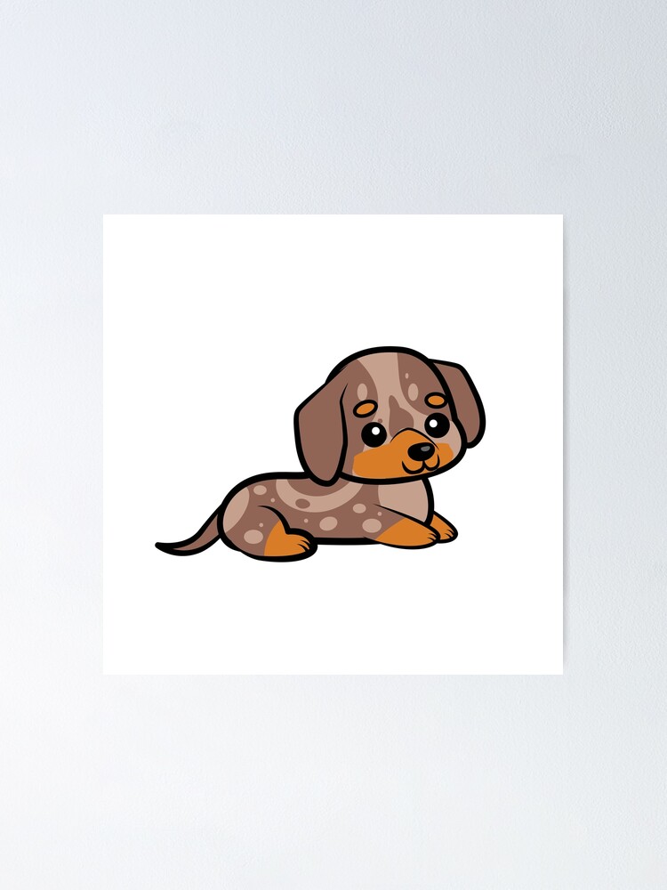 Chocolate dapple clearance sausage dog