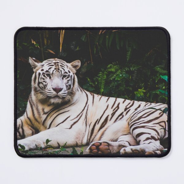 Item preview, White tiger All Over Print designed and sold by Tuesday Robbins.