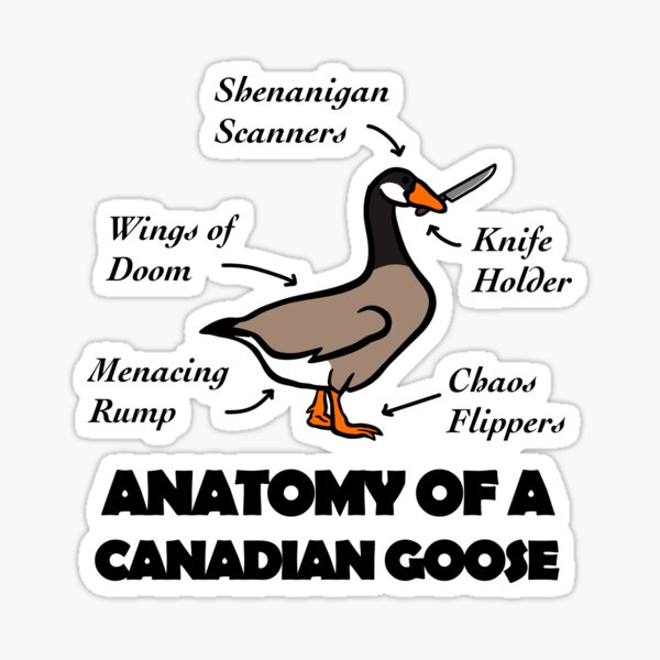 Aperçu de l'œuvre Anatomie d'une oie canadienne créée et vendue par TheUnknown93.